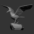 seagull-on-the-stone10.jpg Seagull on the stone 3D print model