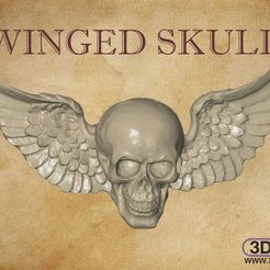 WingedSkull.jpg STL file Winged Skull Wall Hanger・3D print design to download, 3DWP
