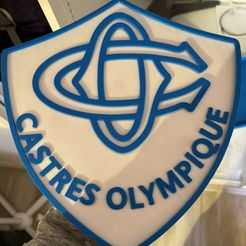 co-1.jpg Castres Olympique Light