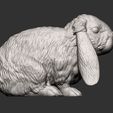 Rabbit6.jpg Kaninchen American Fuzzy Fop 3D-Druck Modell