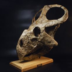 DSC_0187_1500px.jpg STL file Protoceratops skull・3D printing template to download