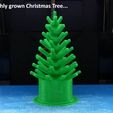 grown_display_large.jpg Mini Christmas Tree with hook on Decorations!