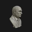 11.jpg 3D Sculpture of Vladimir Putin 3D printable model