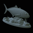 Greater-Amberjack-statue-1-50.png fish greater amberjack / Seriola dumerili statue underwater detailed texture for 3d printing
