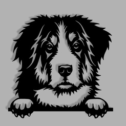 Bernese-chien-de-montagne.png Fichier STL Déco mural Bernese chien de montagne・Modèle à télécharger et à imprimer en 3D