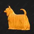 588-Australian_Silky_Terrier_Pose_02.jpg Australian Silky Terrier Dog 3D Print Model Pose 02