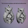 Skull_and_owl_vol1_pendant_z6.jpg Skull and owl vol1 pendant