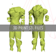 Brigitte01.png Brigitte Classic Armor - Overwatch Cosplay 3D Print Files