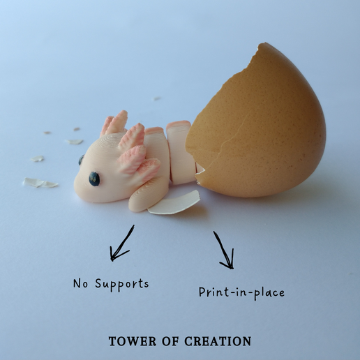 articulated3dprintdragons2.png BÉBÉ AXOLOTL ARTICULÉ - EMPREINTE EN PLACE - SANS SUPPORT