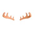 Deer_3.jpg Deer Antler