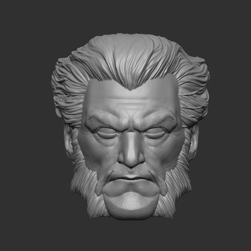 STL file Radagast - HEADSCULPT FOR ACTION FIGURES・3D printer model to ...