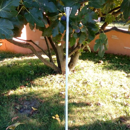 Outil-figue-6.jpg Fig pickings