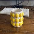 7e3d6c00-aafa-43b4-9a75-be14f5df325f.jpeg LEMON VASE –  Home Decor