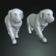 45024.jpg DOG DOG - DOWNLOAD Sheepdog 3d model - CANINE PET GUARDIAN WOLF HOUSE HOME GARDEN POLICE 3D printing DOG DOG