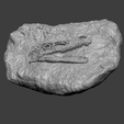 vf2.png Velociraptor Face Mineral Fossile - Realistic Printable Resin