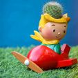 IMG_2867-2.jpg Little Prince Planter , planter