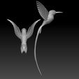 6786759.jpg colibri humming bird