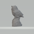4.png STL file Owl 3D Model 3D print model・3D print object to download