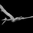 Quetzalcoatlus_modeled.JPG Dinosaurs for your tabletop game