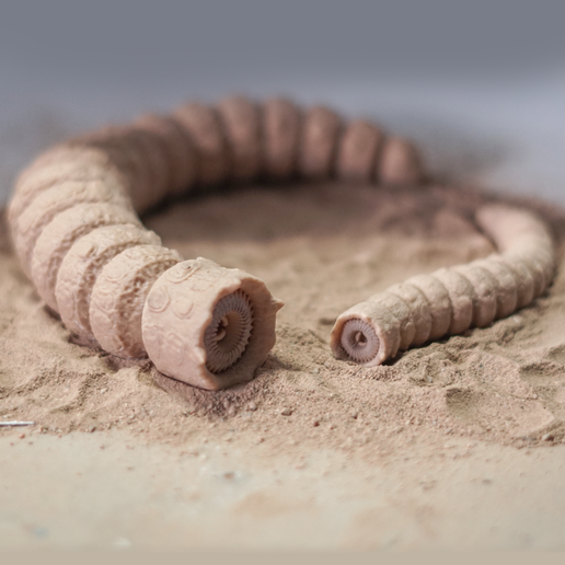 🆓 Dune Flexi Sandworm. Print in Place. Support Free・Free STL File for ...