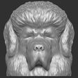 3.jpg Tibetan Mastiff dog head for 3D printing