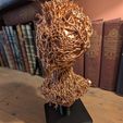 PXL_20251029_132942537.jpg Alien Insectoid Bust