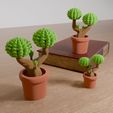 3.jpg 3D Printable Mini Tree