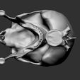 g3.jpg Giger Skull Concept