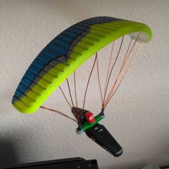 IMG_20181025_095140.jpg STL file Paraglider with cocoon harness・3D print design to download