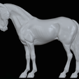 IMG_5074.png Mule,warmblood, and Roman nose horses