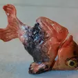 IMG_20220520_223315_808.jpg Red Fish Memory