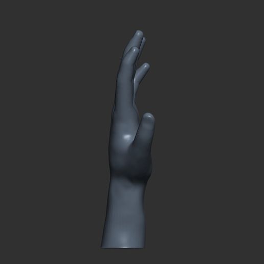 7.jpg Rigging Hand model, rigging hand model