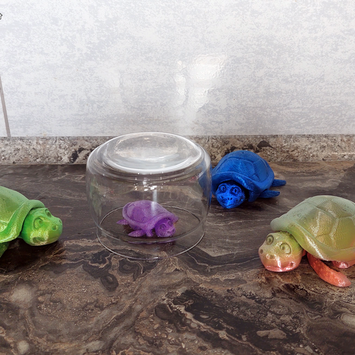 7.png STL-Datei Flexi Versteckte Schildkröte Badespielzeug herunterladen • Design zum 3D-Drucken, DoctorCraft