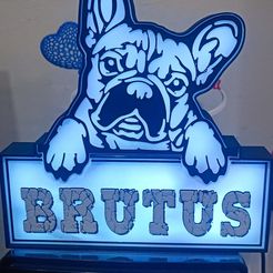 WhatsApp-Image-2023-02-02-at-02.46.22.jpeg customizable french bulldog/frenchie lamp