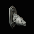 common-carp-21.png head trophy COMMON CARP (CYPRINUS CARPIO)open mouth statue 2 detailed texture for 3d printing