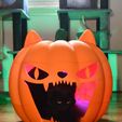 DSC_1104.jpg Giant Jack O Lantern Pumpkin Pet Bed