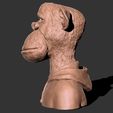 205.jpg BROAD APE NFT monkey