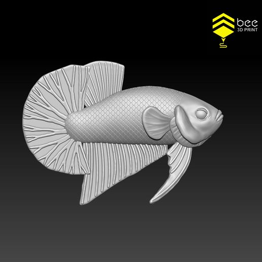 BettaV2_8.jpg Betta Fish 2 - Ready for 3D print