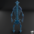 Arctodus-skeleton-wax-7.png Arctodus simus - short faced bear skeleton 3D print model