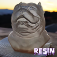 Resina-4.png American Bully Bust