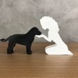 WhatsApp-Image-2023-01-04-at-11.13.42.jpeg Girl and her Labrador Retriever (wavy hair) for 3D printer or laser cut