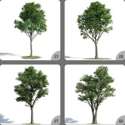 tOY4Na5K.jpeg Archivo 3D Planta de maceta larga 3D Modelo casero 57-60・Objeto imprimible en 3D para descargar
