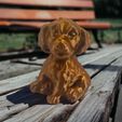 Photoroom_20240404_101418.jpg Micro dog baby Golden retriever 30mm