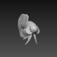 z5494606173637_e03c82a53d3f9f7aeb5ba9e24c863acc.jpg Betta Fish V3 - Ready For 3D Printing