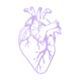 anatomical human heart.stl Anatomical Human Heart wall art human heart wall decor
