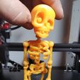 Lindo esqueleto flexible para imprimir, Metalhead_Printing