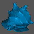 Screenshot-2023-05-20-203455.png Authentic 3D Scanned Big Sea Shell