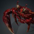 ER.jpg Crab, - DOWNLOAD Crab 3d Model - PACK animated for Blender-Fbx-Unity-Maya-Unreal-C4d-3ds Max - 3D Printing Crab Crab