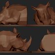 ZBrush DocumentRH02.jpg Rhino
