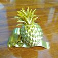 IMG_20220215_074054.jpg Ruyi pineapple
